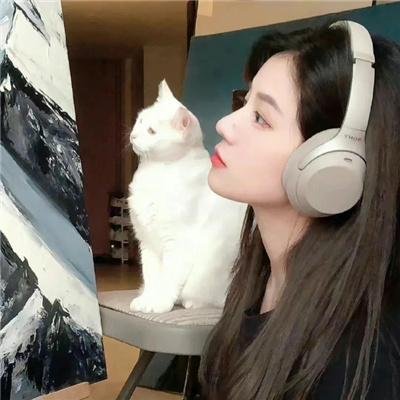 人生虚线