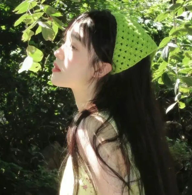 森林之北